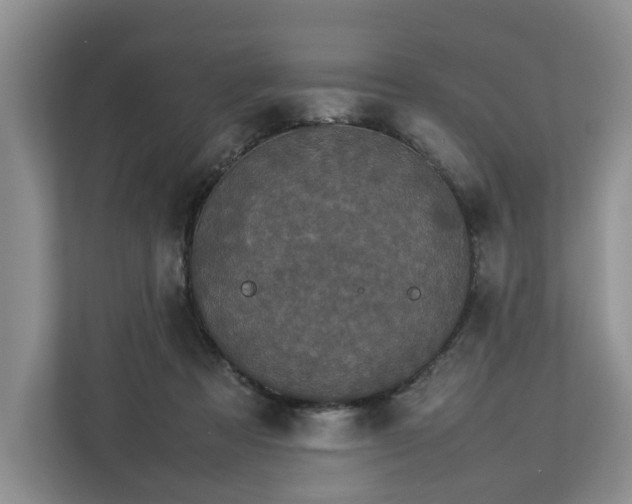 X0000112830313200908281537