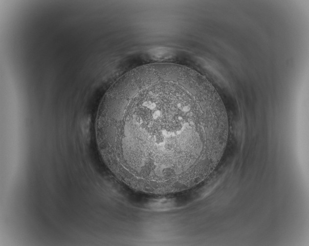 X0000112830319200908281537