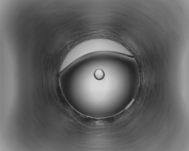 X0000112830324200908281537