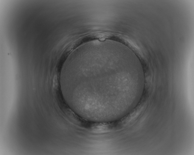 X0000112830325200908281537