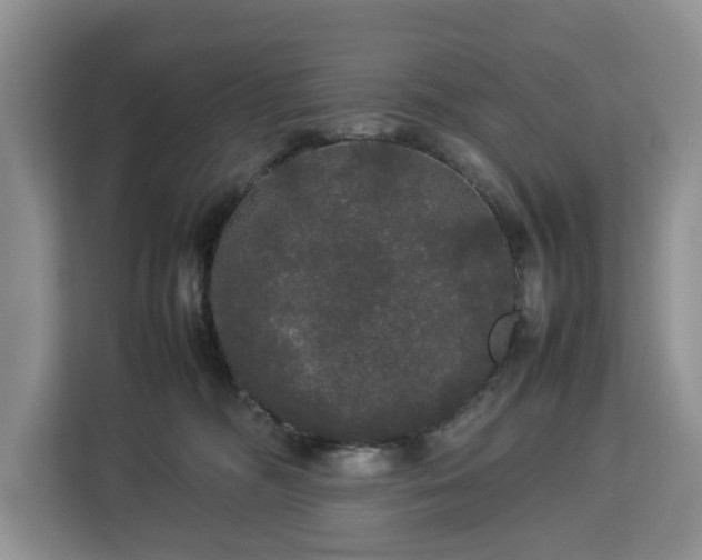 X0000112830326200908281537