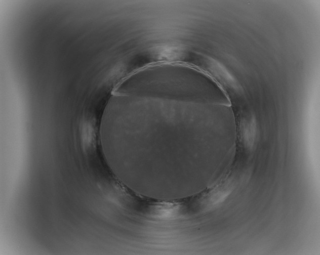 X0000112830328200908281537