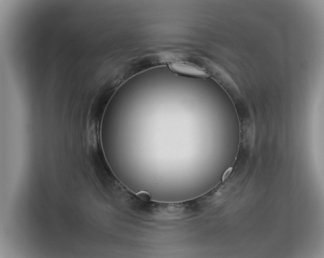 X0000112830329200908281537