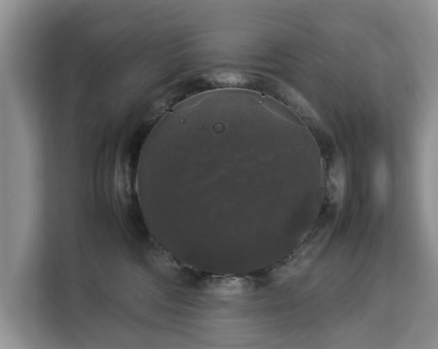 X0000112830330200908281537