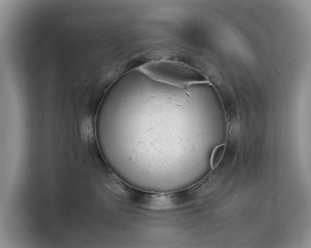 X0000112830335200908281536