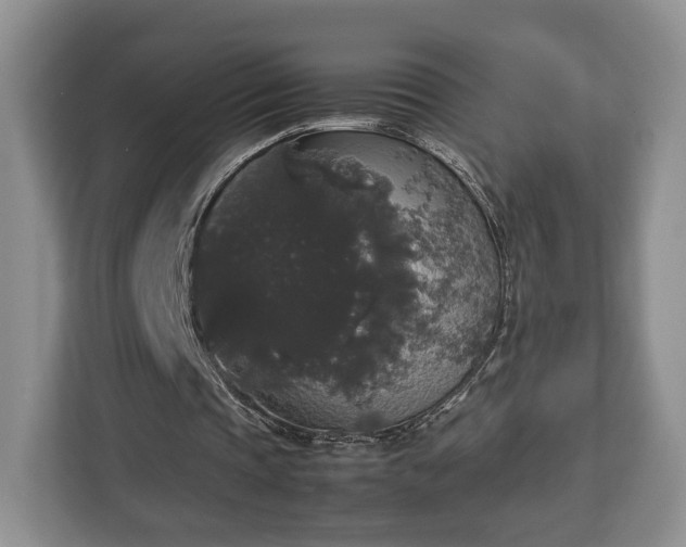 X0000112830337200908281536