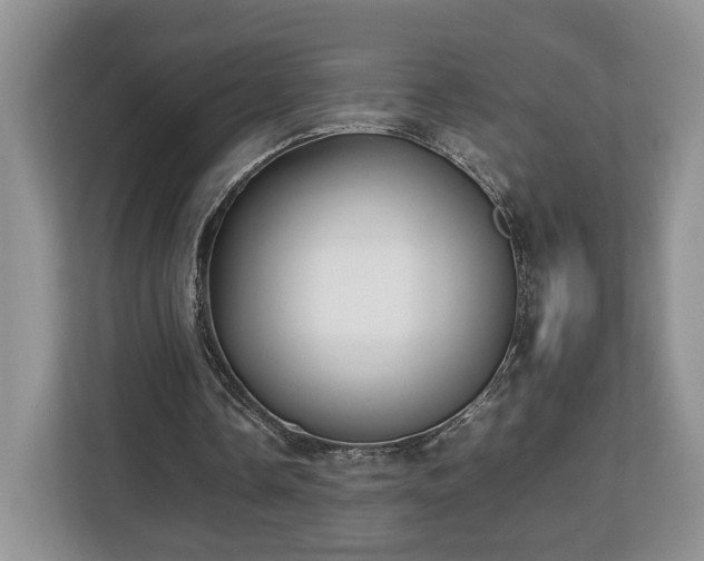 X0000112830338200908281536