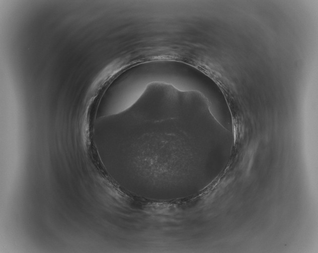 X0000112830339200908281536