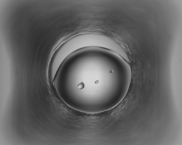 X0000112830340200908281536