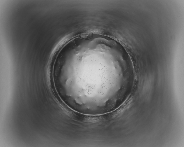 X0000112830341200908281536