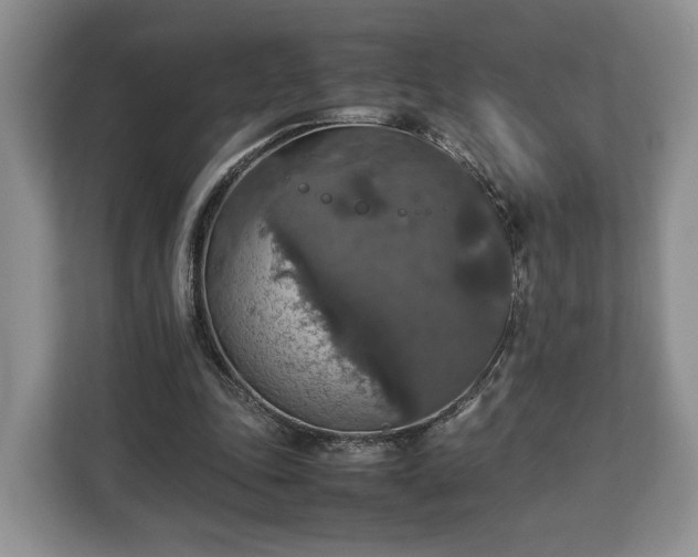 X0000112830343200908281536