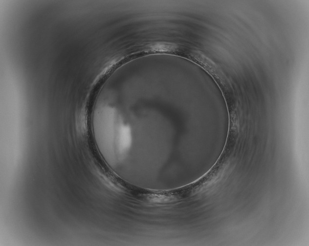 X0000112830347200908281536