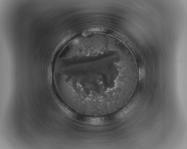 X0000112830349200908281536