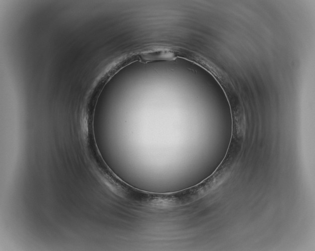 X0000112830350200908281536