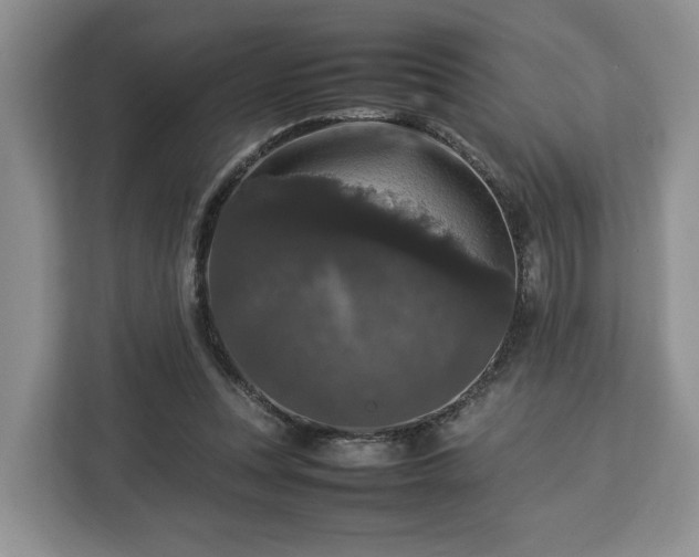 X0000112830351200908281536