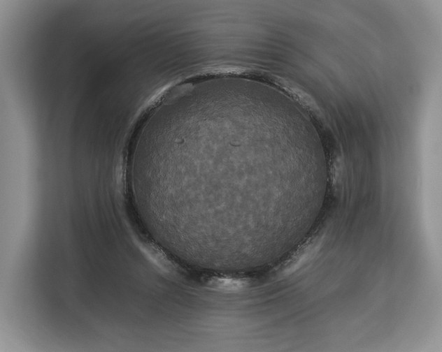 X0000112830352200908281536