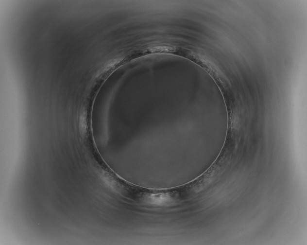 X0000112830353200908281536