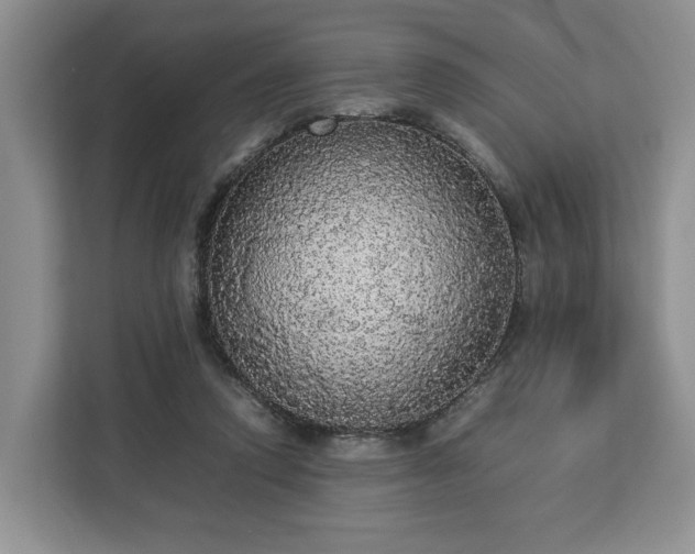 X0000112830354200908281536