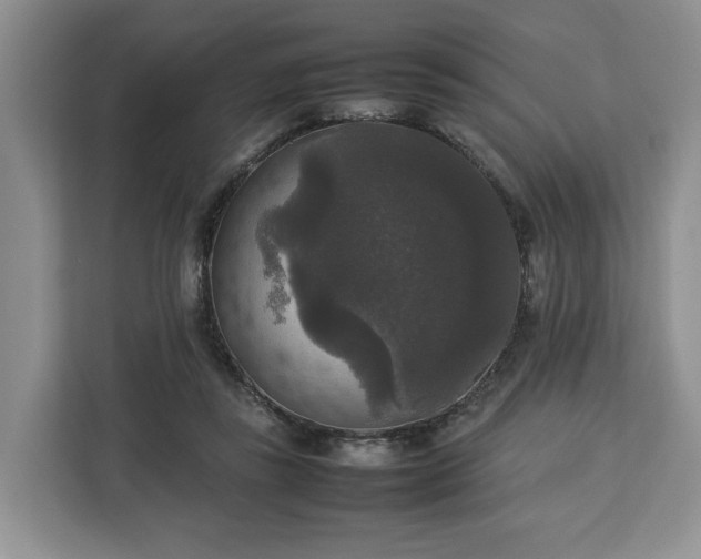 X0000112830355200908281536