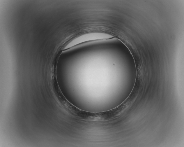 X0000112830356200908281536