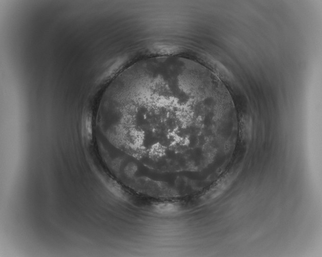 X0000112830358200908281536