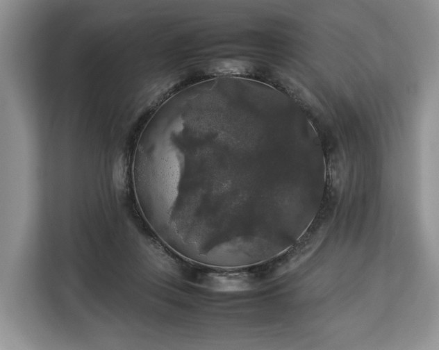 X0000112830359200908281536