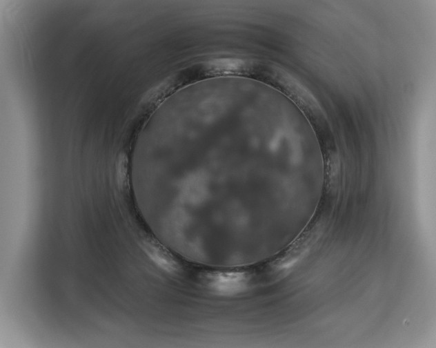 X0000112830361200908281536