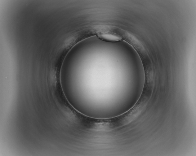 X0000112830362200908281536