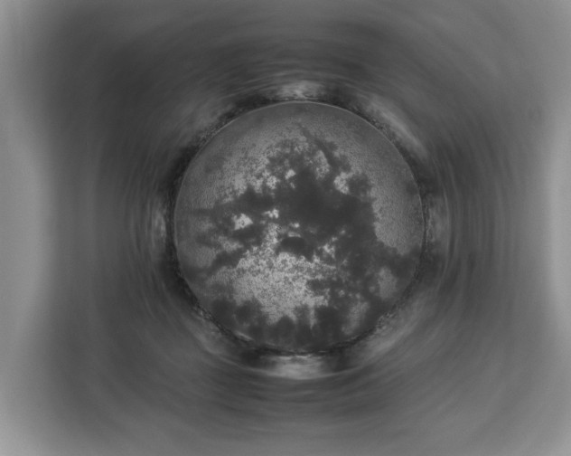 X0000112830363200908281536