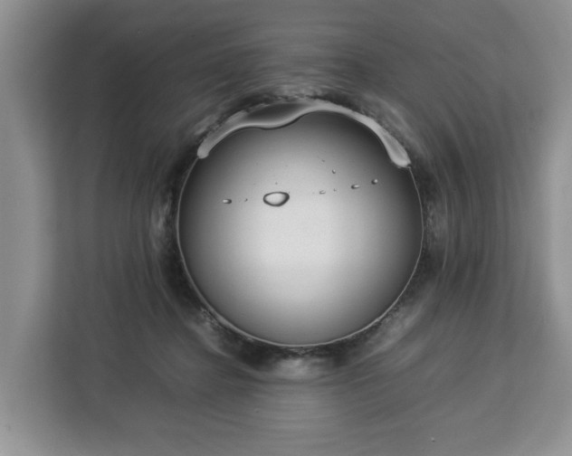 X0000112830364200908281536