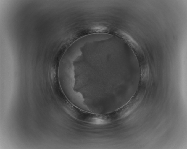 X0000112830365200908281536