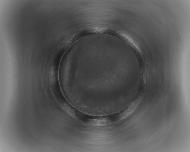 X0000112830366200908281536