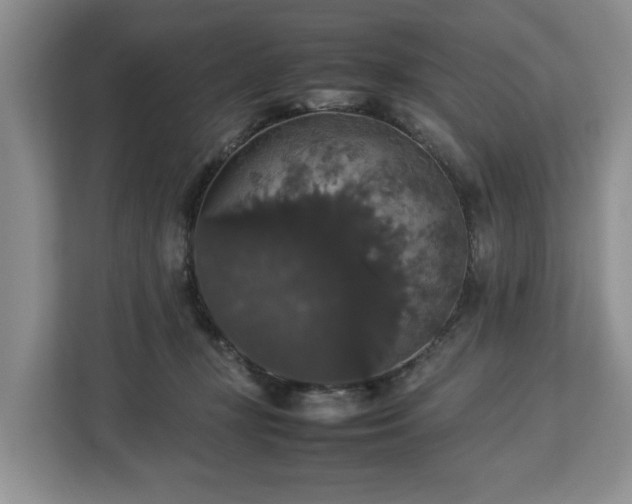 X0000112830367200908281536