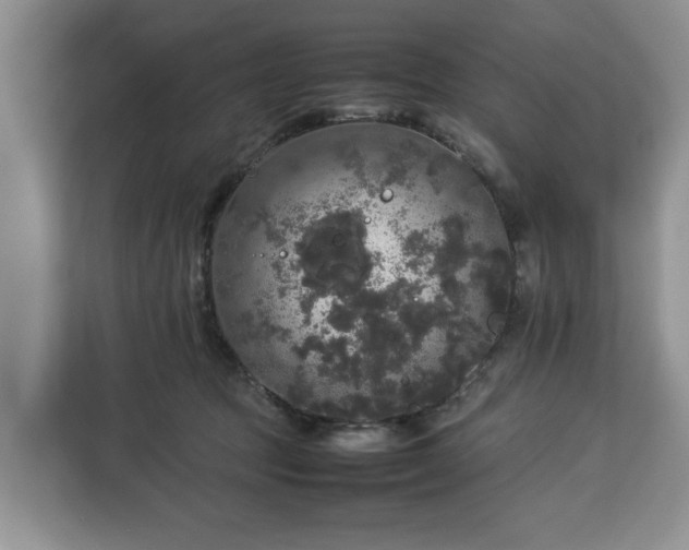 X0000112830369200908281536