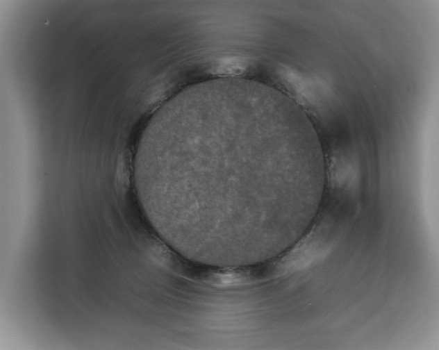 X0000112830370200908281536