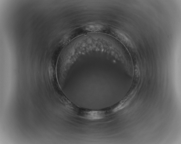 X0000112830371200908281536