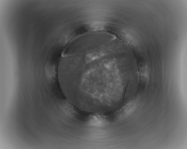 X0000112830372200908281536