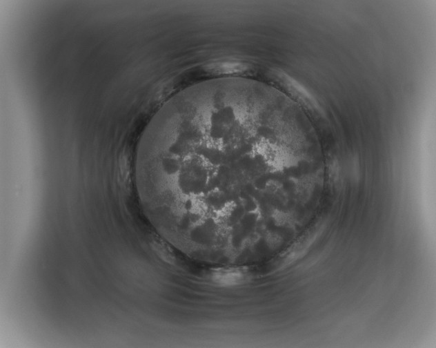 X0000112830373200908281536