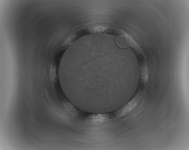 X0000112830378200908281536