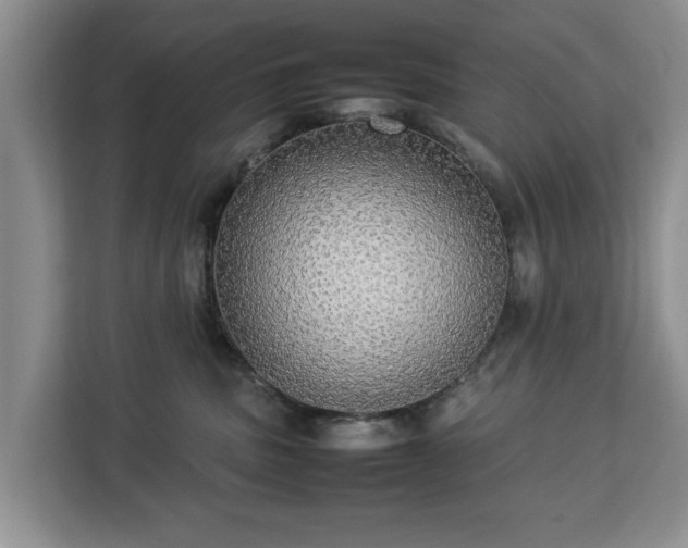 X0000112830379200908281536