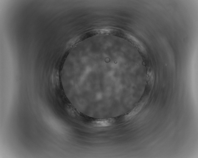 X0000112830381200908281536