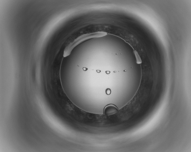 X0000112830382200908281536