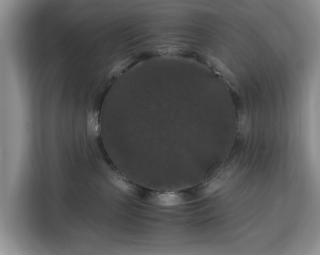 X0000112830383200908281536