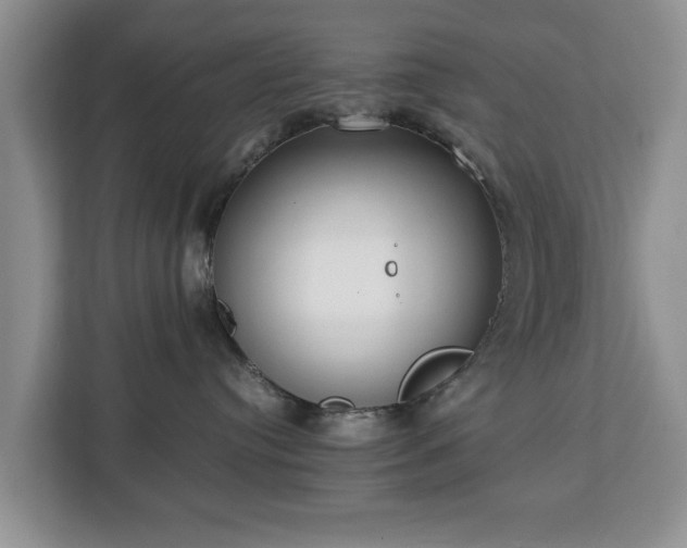 X0000112830384200908281536