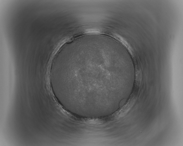 X0000112830385200908281536