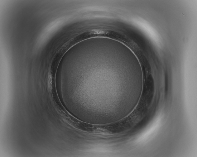 X0000112830387200908281536