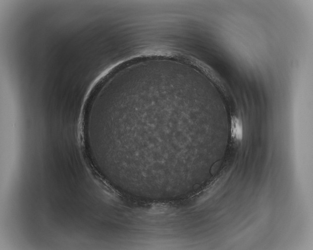 X0000112830388200908281536