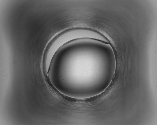 X0000112830391200908281536