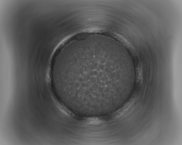 X0000112830392200908281536