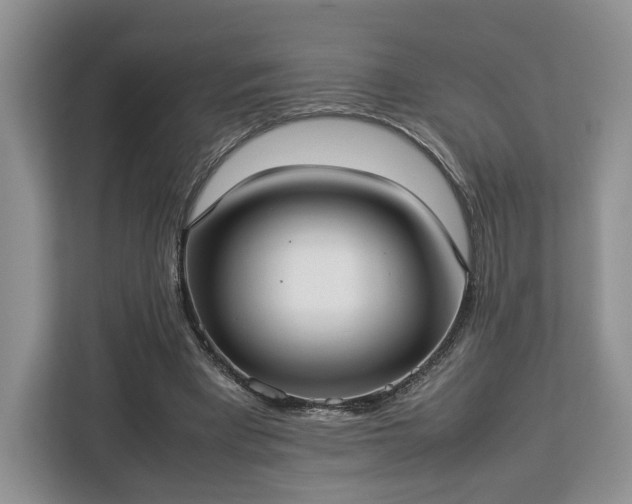 X0000112830393200908281536